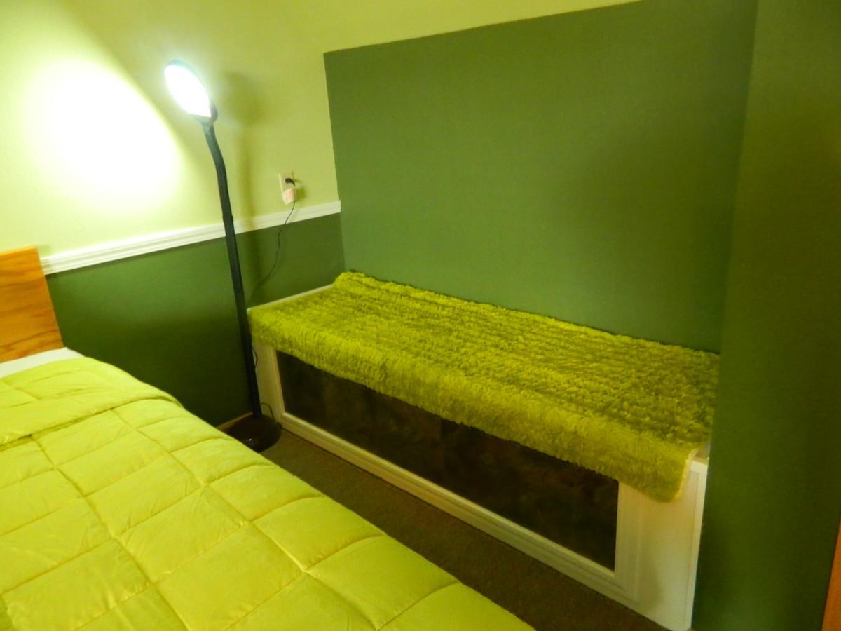 Country Motor Inn Ливингстон Экстерьер фото